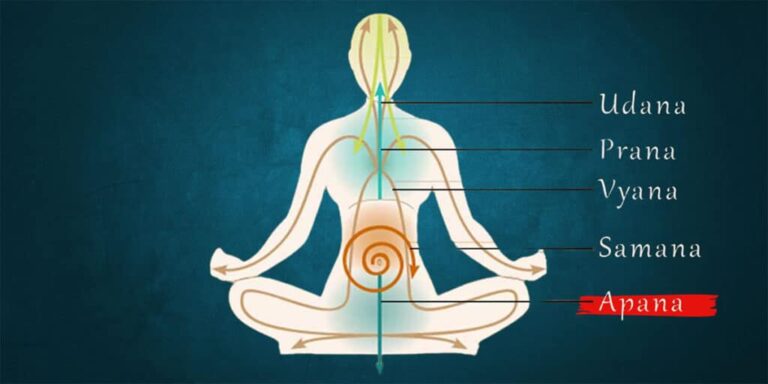 1.Understand prana in human body