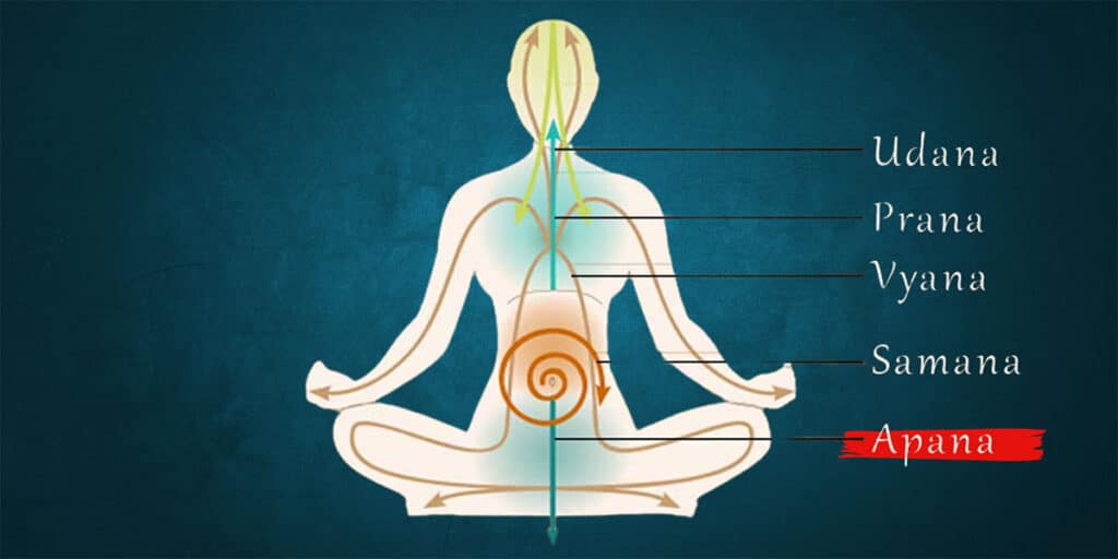 understanding apana 1024x512